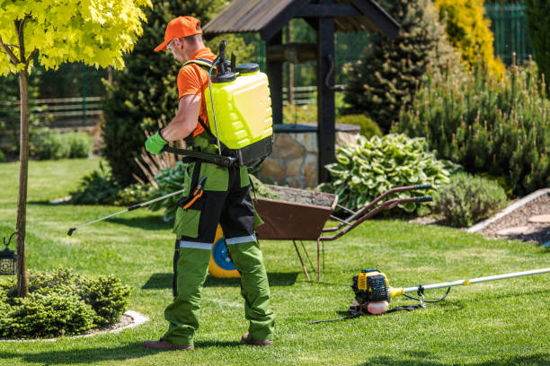 Best Bee and Wasp Removal  in Lake Orion, MI